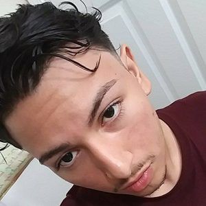 Meet your Posher, Leonardo